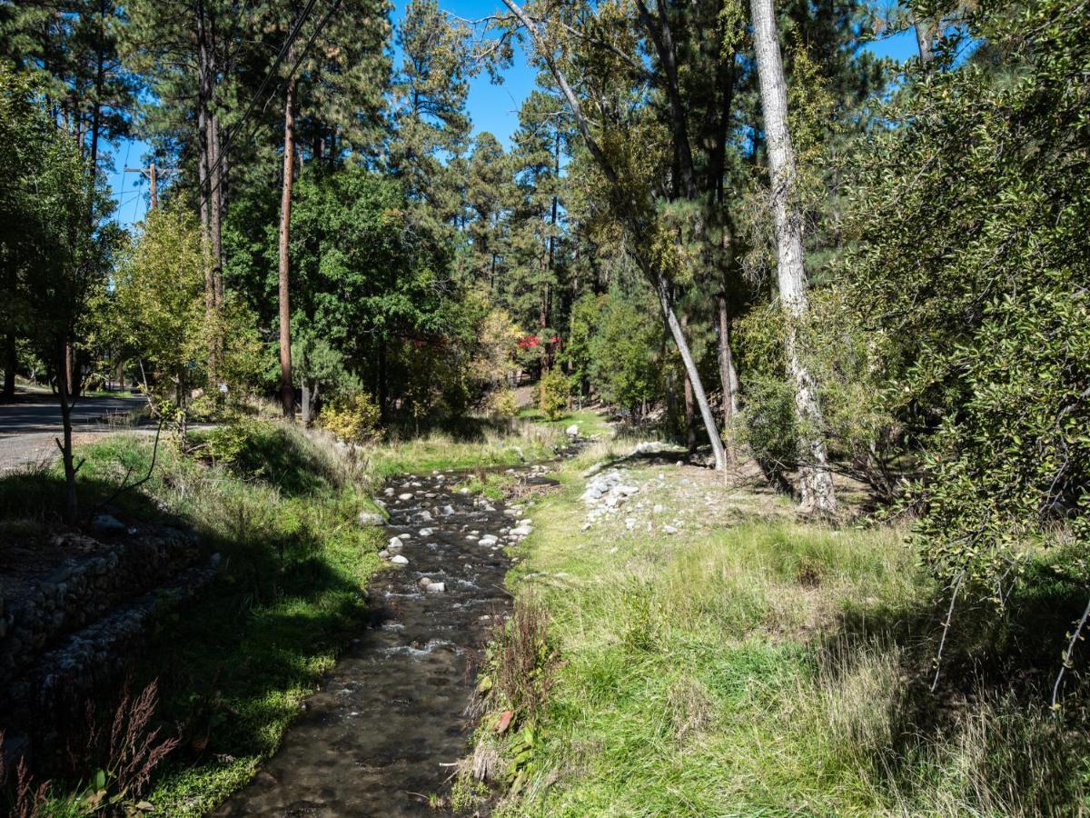 Apache Village 10, King Studio, Midtown, Sleeps 2 Ruidoso Extérieur photo